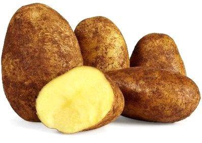 Potatoes - Organic Dutch Cream