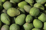 Load image into Gallery viewer, Avocado - Hass (Each)

