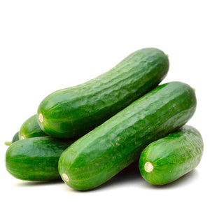 Cucumber - Lebanese