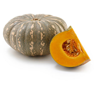 Pumpkin - Jap/Kent