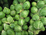 Load image into Gallery viewer, Brussel Sprouts
