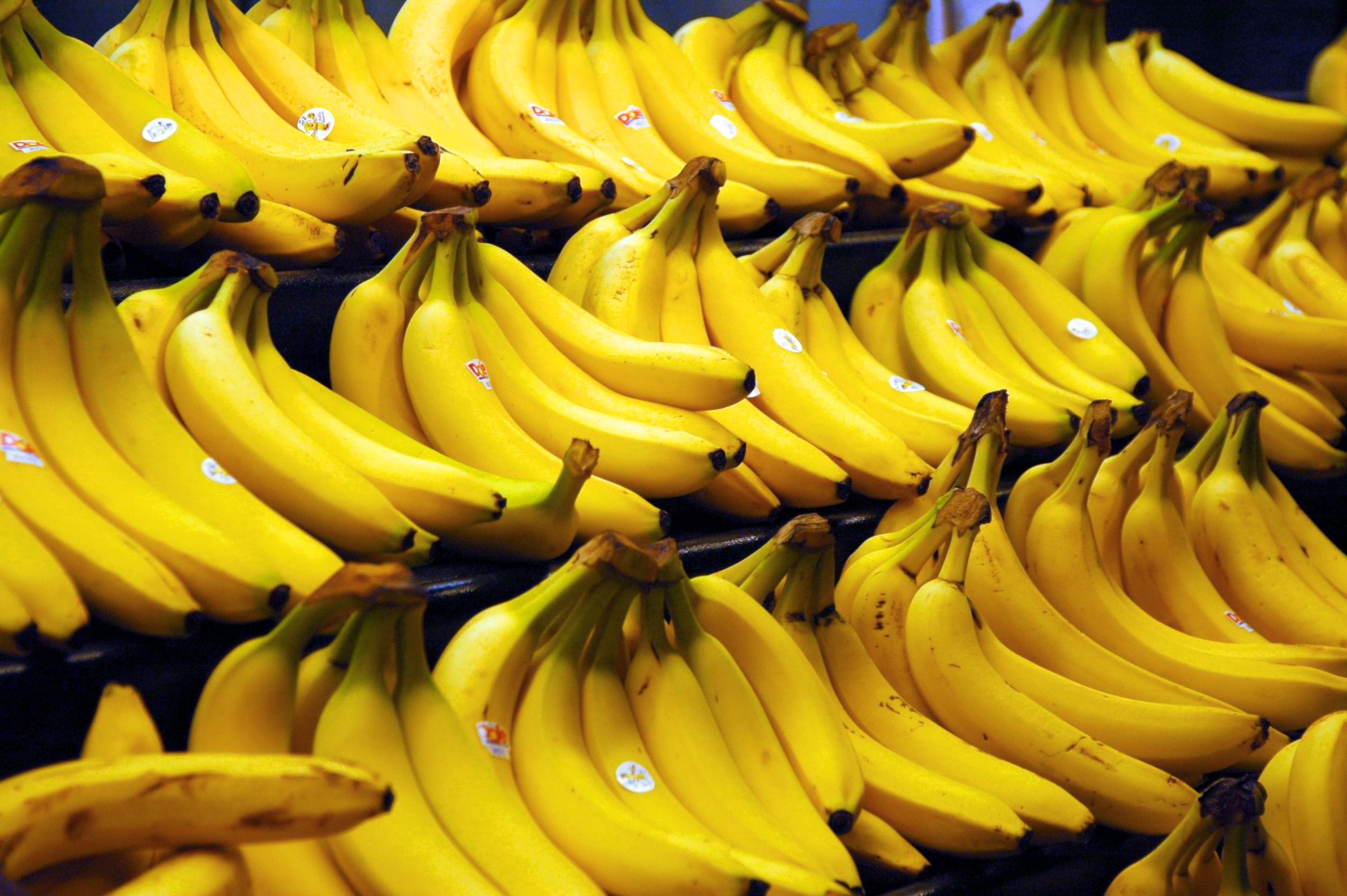 Bananas - Cavendish