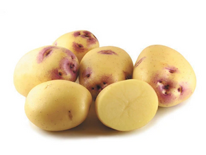 Potatoes - Kestrel