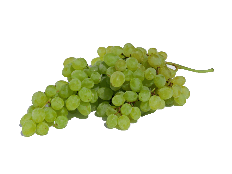Grapes - Natural Sultana