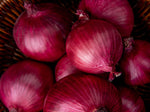 Load image into Gallery viewer, Onions - Red
