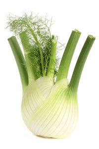 Fennel - Baby