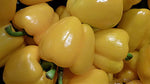 Load image into Gallery viewer, Capsicum - Yellow
