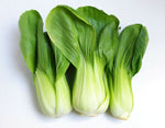 Load image into Gallery viewer, Bok Choi (Bunch)
